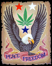 Peace and Freedom