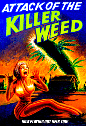 The Killer Weed